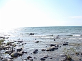 Western Michigan [2010] 812